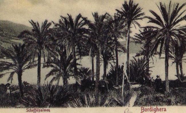 Pierre Renoir View of Bordighera:the Palms Postcard France oil painting art